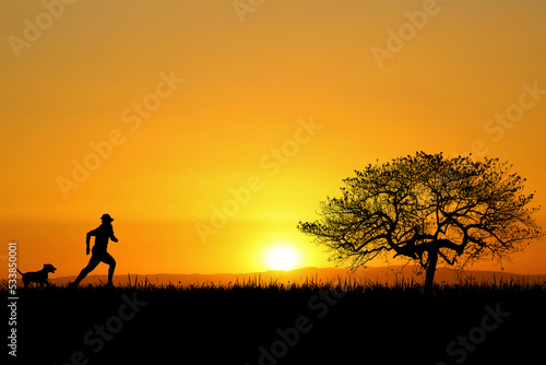 Silhouette for a beautiful evening or morning light background with copyspace for content.