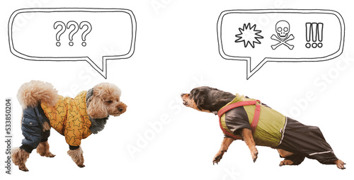 Tableau sur toile Aggressive, reactive dog confronting other dog against isolated background with speech bubble