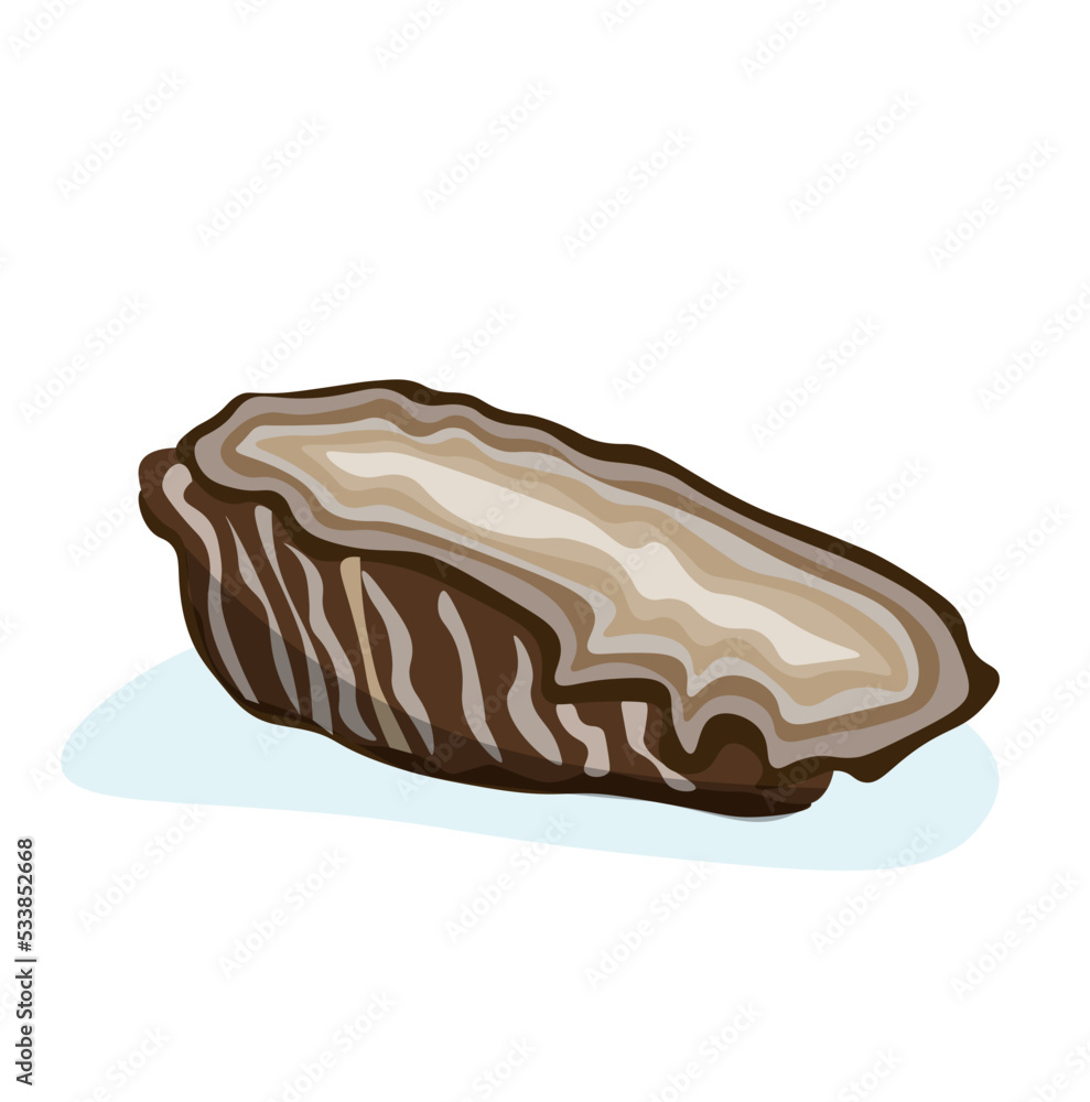 Tasty oyster on white background Tasty oyster on white background