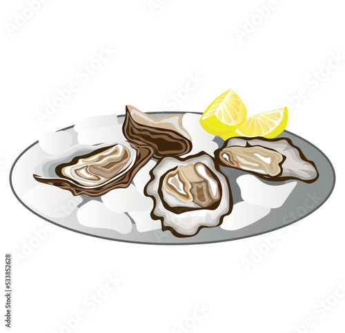 Plate of tasty oysters on white background