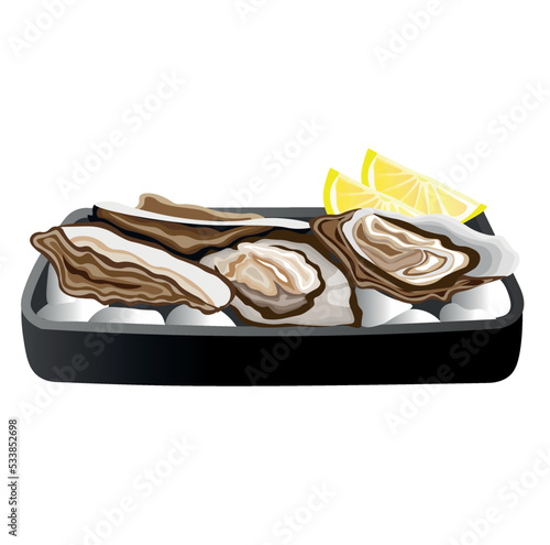 Tray with tasty oysters on white background