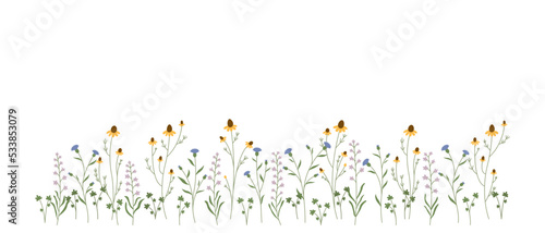 Beautiful meadow flowers on white background