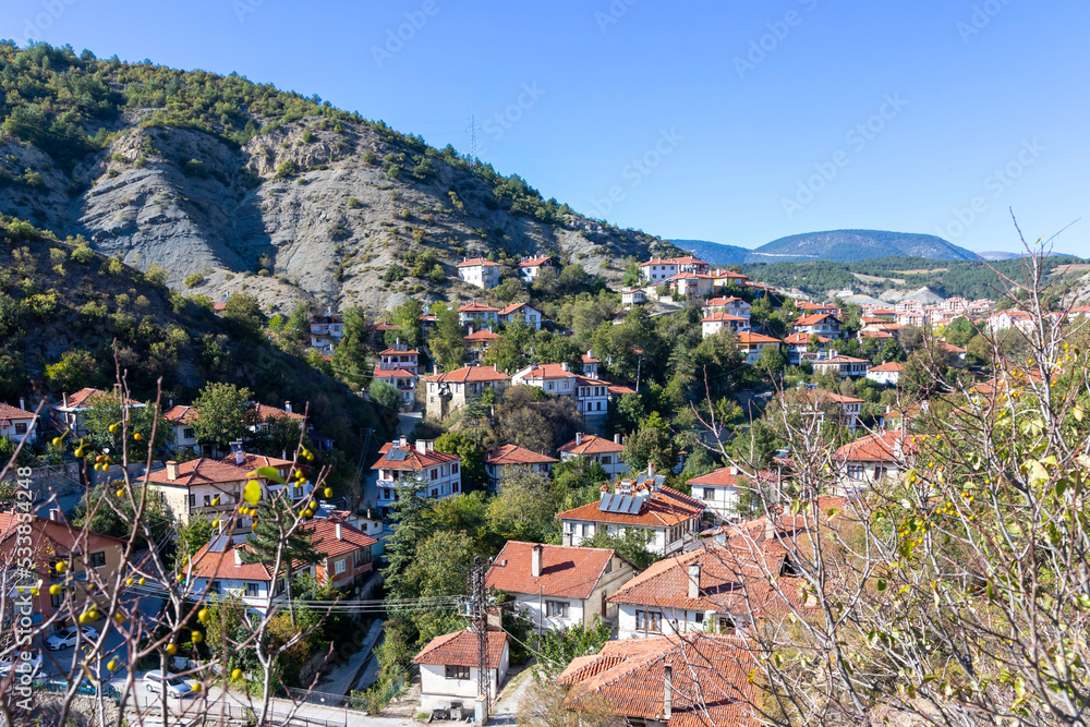 Fototapeta premium Historical Göynük district with its traditional houses, Bolu, Turkey.