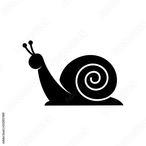 snail on a white