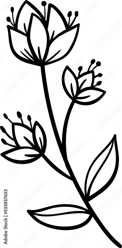 Hand drawn Floral, plants doodles illustration