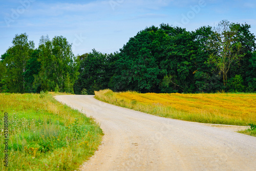Country road and green trees farmland landscape in a summer season.