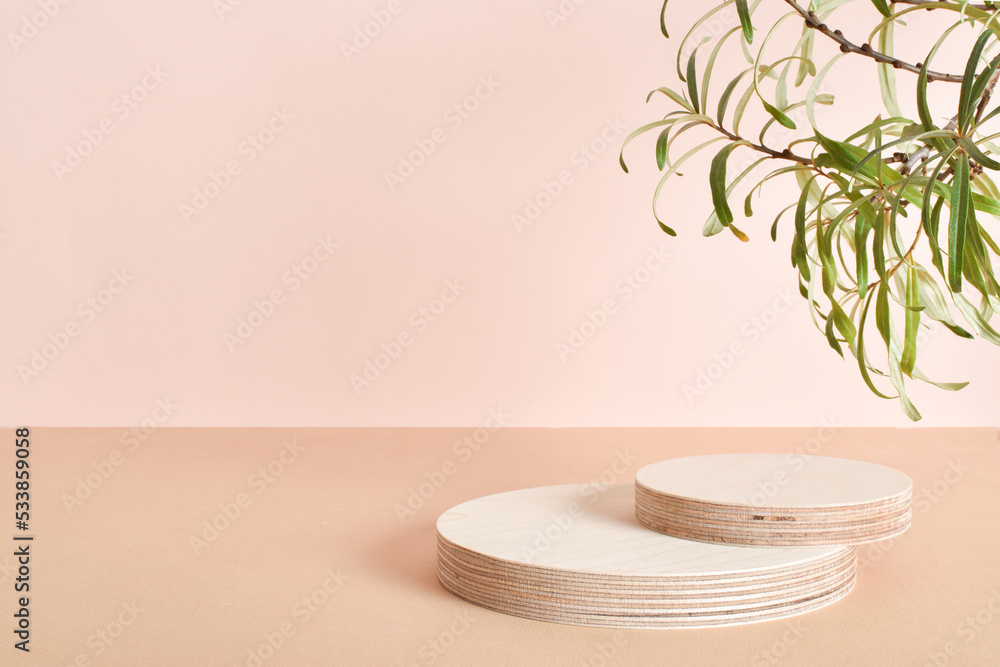 The podium consists of two wooden cylinders made of natural wood with green foliage. Minimalistic branding scene. The podium consists of two wooden cylinders made of natural wood with green foliage. Minimalistic branding scene.