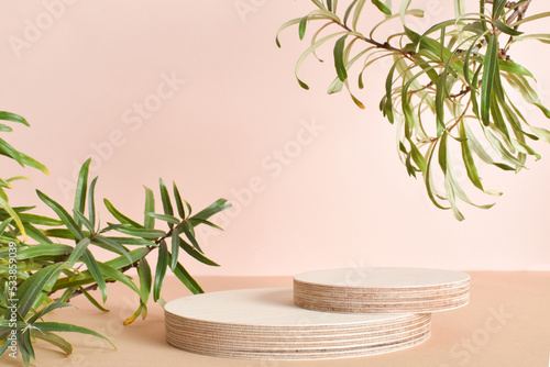 The podium consists of two wooden cylinders made of natural wood with green foliage. Minimalistic branding scene.