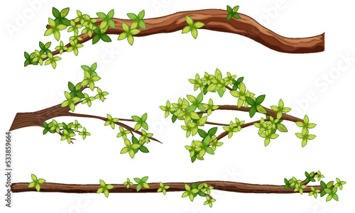 Set of different tree branches isolated