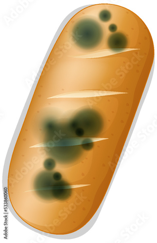 Inedible bread with mould
