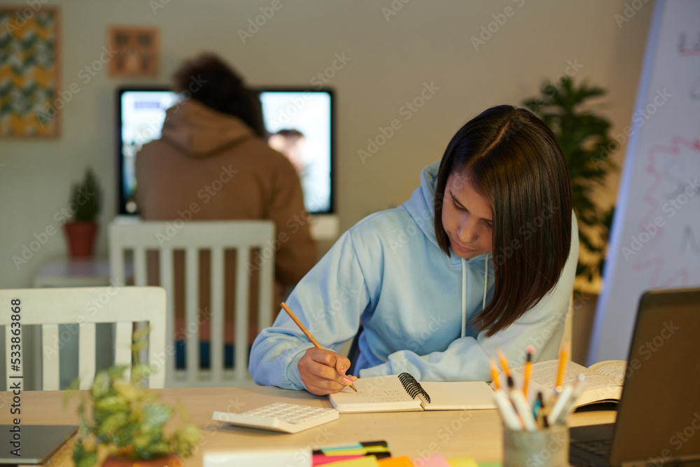 Schoolgirl Writing down Formulas Schoolgirl Writing down Formulas