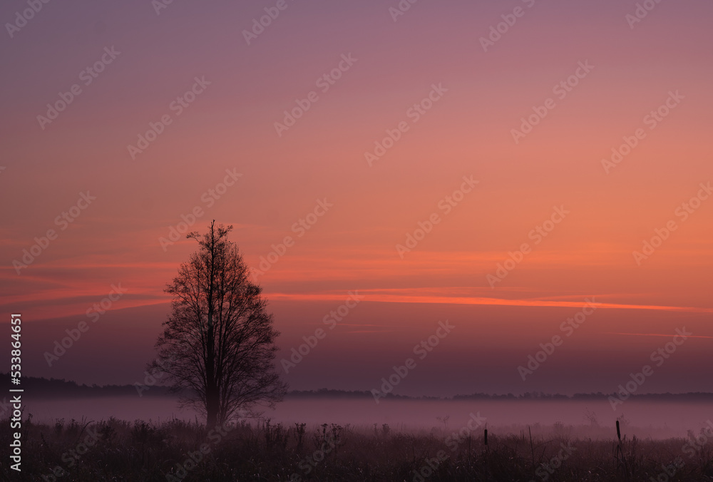 Obraz premium Autumn, misty morning and sunrise in the countryside