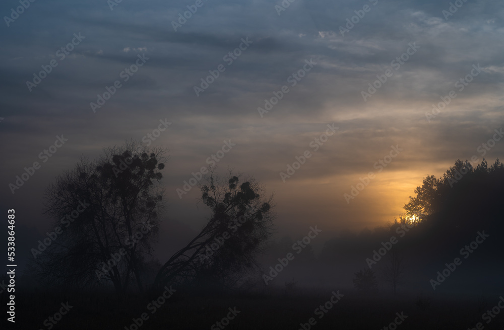 Autumn, misty morning and sunrise in the countryside Autumn, misty morning and sunrise in the countryside
