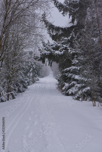 Wallpaper Mural Winter im Erzgebirge	 Torontodigital.ca