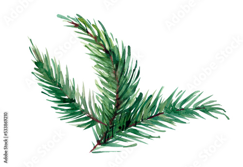 Branch of a Christmas tree isolated on a white background. Top view  flat lay  close-up. Christmas or New Year background.