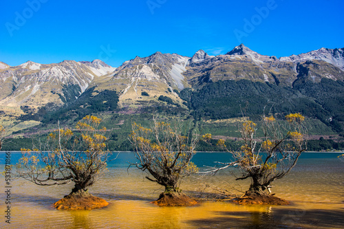 Glenorchy Shoreline at Lake Wakatipu, near Queenstown, New Zealand.  photo