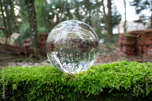 a glass marble in the forest with trees in the background laying on the grass