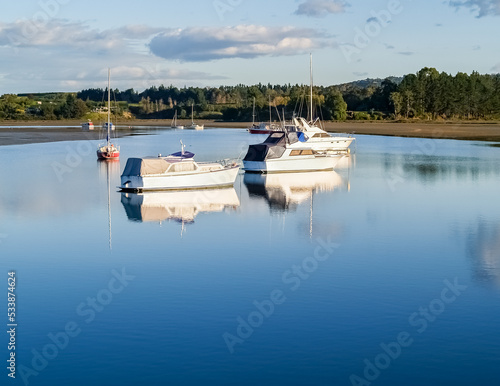 Boats moored in estuary at Omokoroa photo