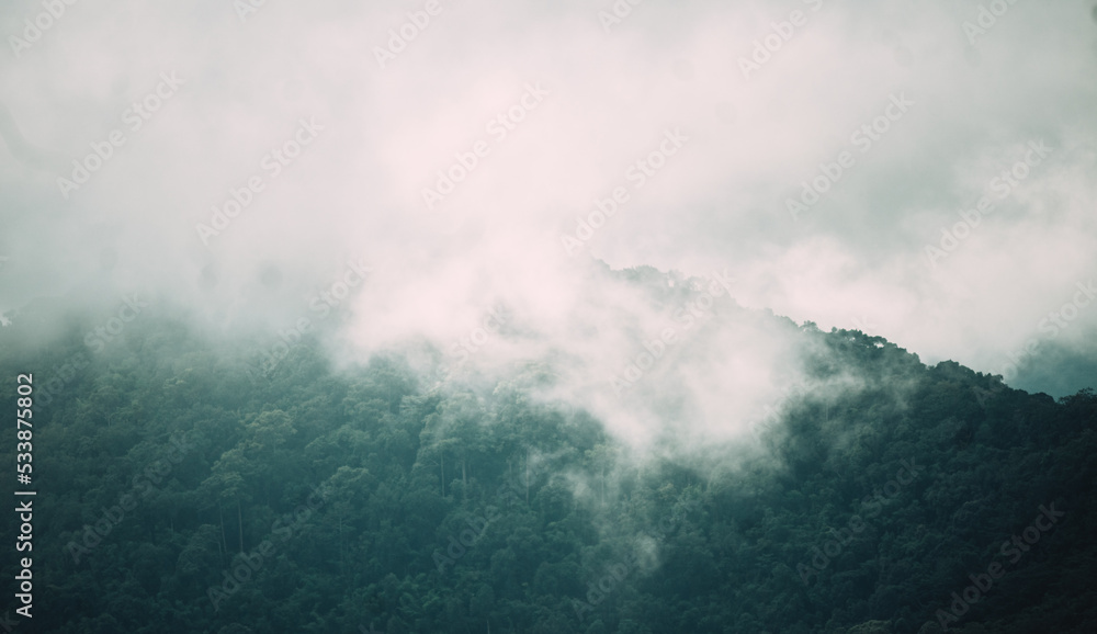 clouds in the mountains
