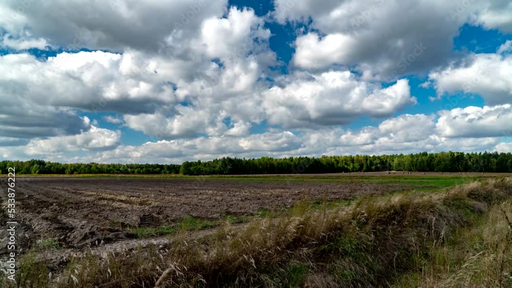 Forests, fields and meadows of Podlasie. Forests, fields and meadows of Podlasie.
