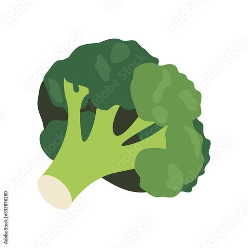 simple vector illustration of broccoli