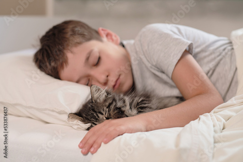 kitten sleeping in the background of a child. Kids and pets. little asian boy with kitten sweetly sleep in bed. Child and cat. Little kid with his animal. Toddler and kitty sleep.
