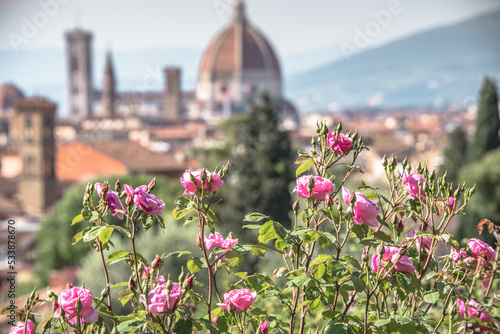 View of Florence from Garden of Roses