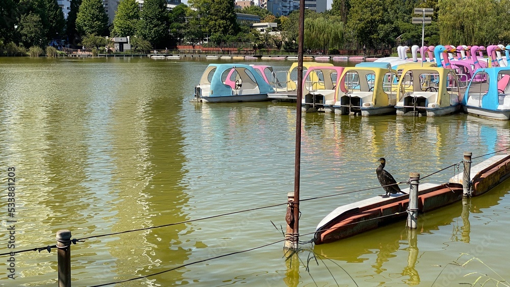 Obraz premium Beautiful day at Ikebukuro Tokyo Japan with moss green pond, afloating colorful boats and birds in peace