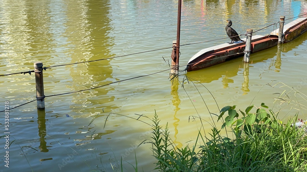 Fototapeta premium Beautiful day at Ikebukuro Tokyo Japan with moss green pond, afloating colorful boats and birds in peace