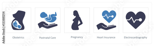 Obstetrics, Postnatal Care