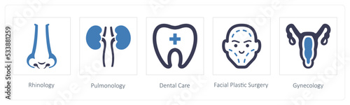 Rhinology, Pulmonology