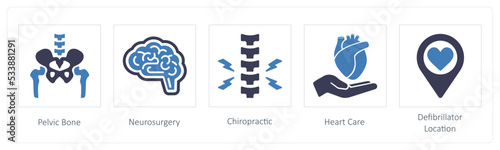 Pelvic Bone, Neurosurgery, Chiropractic