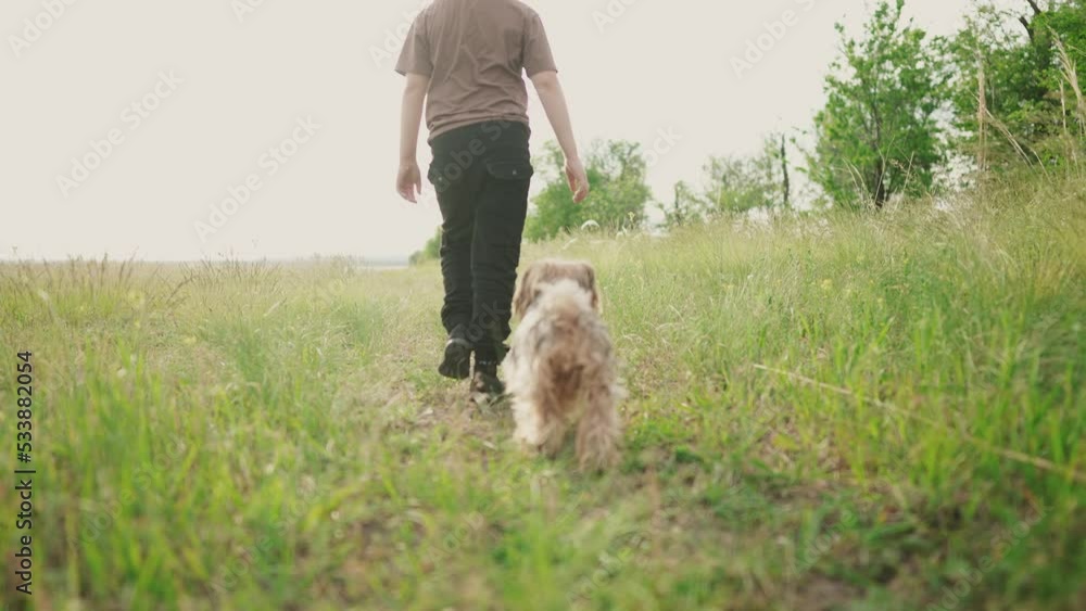 boy walking the dog in the park. happy family pet shaggy puppy kid dream concept. small child legs close-up walking in nature lifestyle in the park with a dog. child and dog walking in nature