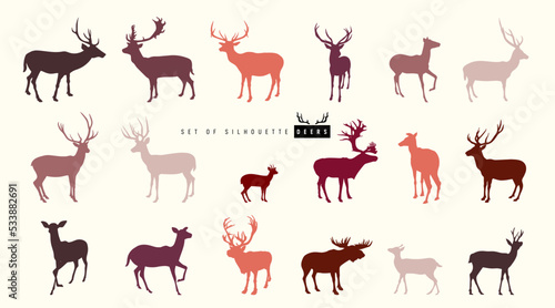 Set of silhouette of beautiful stylized deers. Collection of silhouettes of wild animals the deer family.   hristmas animals for decorative elements. Vector illustration on white background