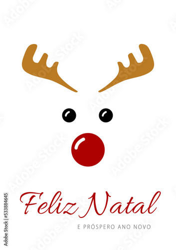 Portuguese text: Feliz Natal e próspero ano novo. Merry Christmas and Happy New Year. Vector. Cartoon