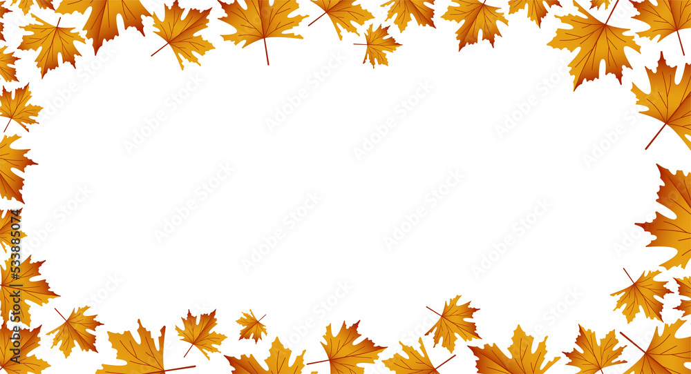 Autumn maple leaves. Autumn maple leaves.