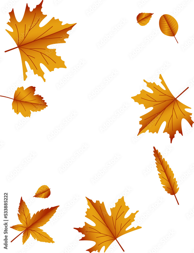 Fototapeta premium Autumn maple leaves.