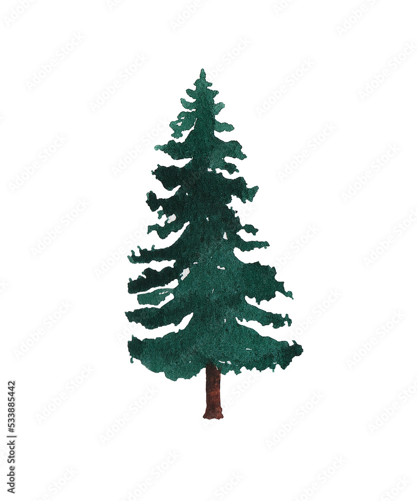 Fototapeta premium Watercolor green Christmas tree on white background. Winter design elements..
