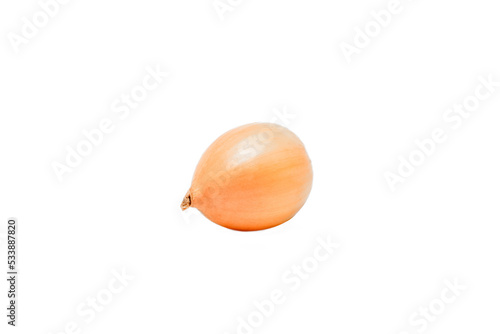 Napiform onion isolated on a white background photo