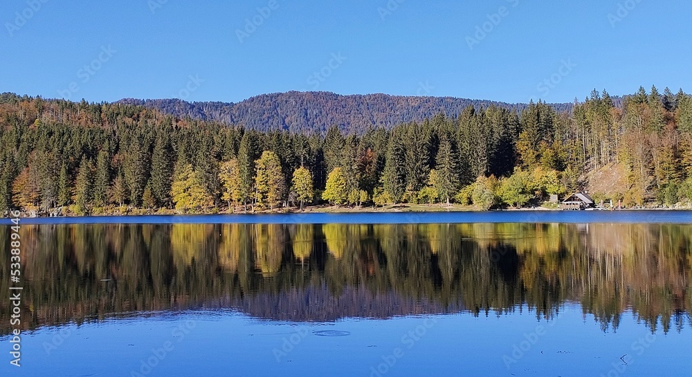 Reflections of forest in alpine lake in autumn in Julian Alps, Italy