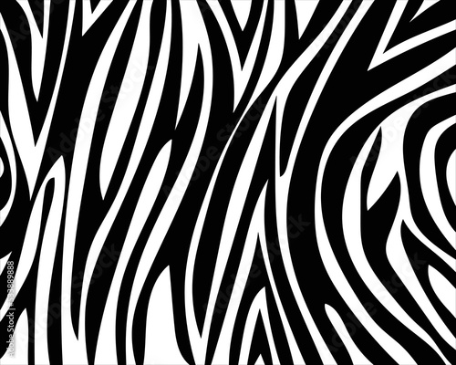 zebra skin pattern. vector eps 10