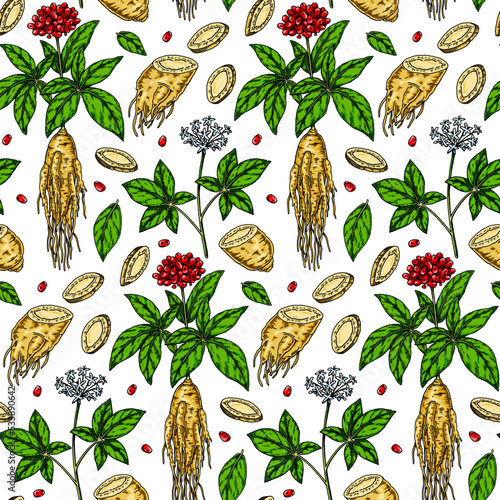 Colorful Hand drawn ginseng seamless pattern. Vector illustration in sketch style. Medicinal plant background. Botany design