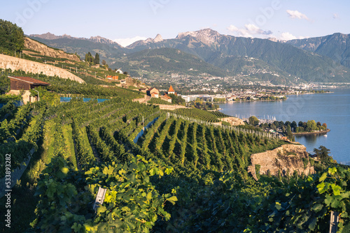 Valokuva le vignoble, la riviera vaudoise