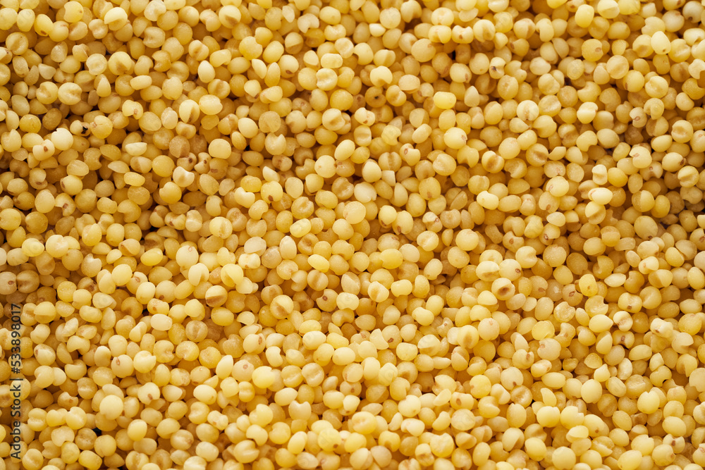 sorghum or sorghum grain, millet grain or millet seed texture background sorghum or sorghum grain, millet grain or millet seed texture background