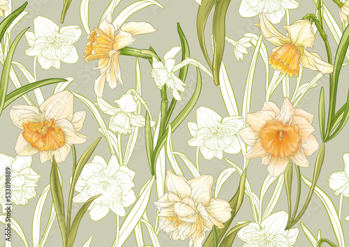 White daffodils and tulips flowers, the early spring flowers. Seamless pattern, background. Vector illustration. In botanical style