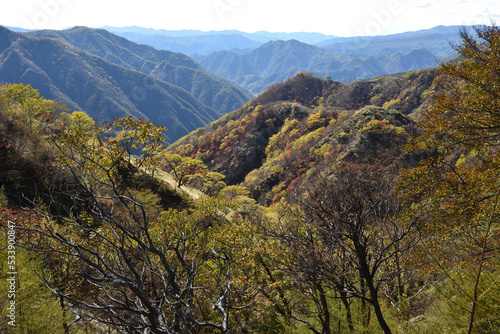 Climbing mountains in Autumn  Nikko  Tochigi  Japan 