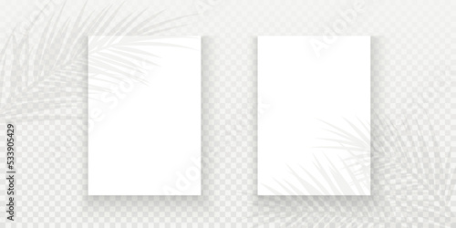 Transparent shadow on poster. Transparent shadows of palm leaf. Shadow overlay effect.