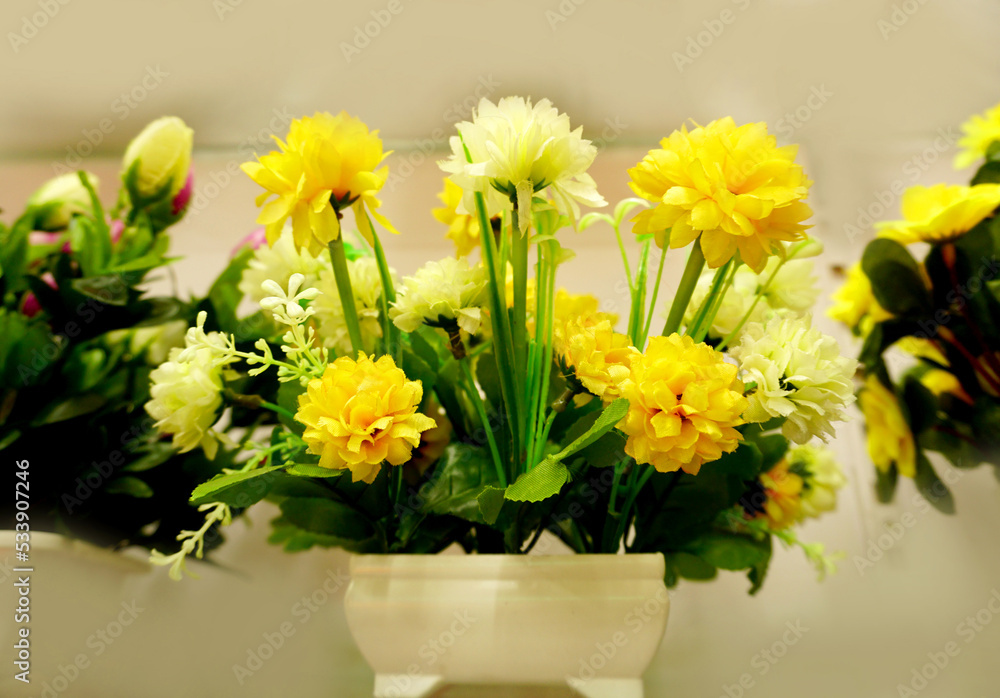 Beautiful and colorful flowers are arranged in a row. Beautiful and colorful flowers are arranged in a row.