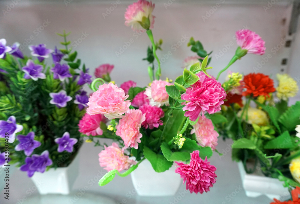 Beautiful and colorful flowers are arranged in a row. Beautiful and colorful flowers are arranged in a row.