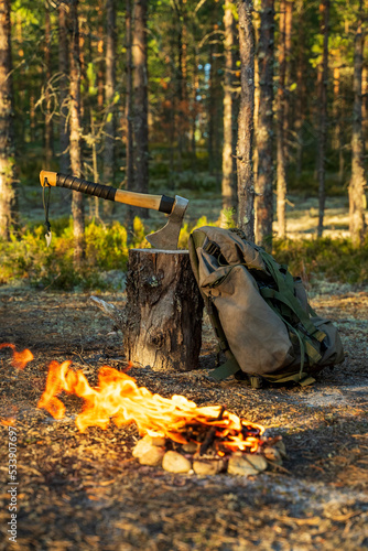 Forest camp, campfire and axe.